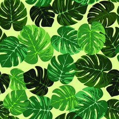 Fototapeta premium seamless vector botanical and tropical leaves