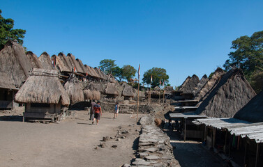 Houses of a megalithic village  in fFlores Indonesia