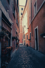 Fototapeta premium Street of the historic center of Rome