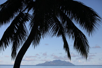 Tropical seascape with a view of palm trees on the beach and islands in the sea.Background