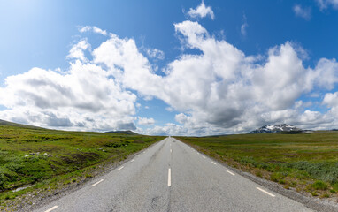 Fototapeta premium paved highway leads straight to the horizon in a wild tundra landscape