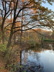 Herbst im Park in Berlin Tiergarten