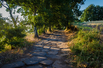 Fototapeta na wymiar Antiche strade romane lungo la Via Francigena dalle parti di Viterbo