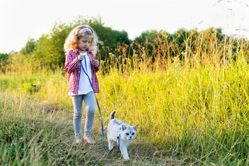 a little blonde girl walking a white purebred cat on a leash