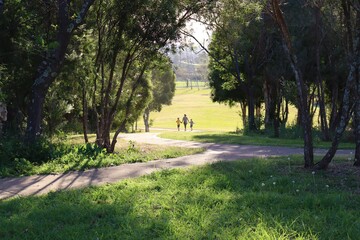 Mother and two children walking at sunset along cement pathway in suburban park with large green trees arching across the path. 