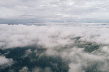 Aerial view green tree forest morning sunrise with fog