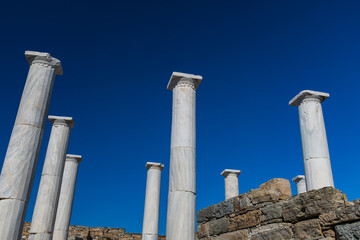 Ancient greek columns on Delos Island in Greece