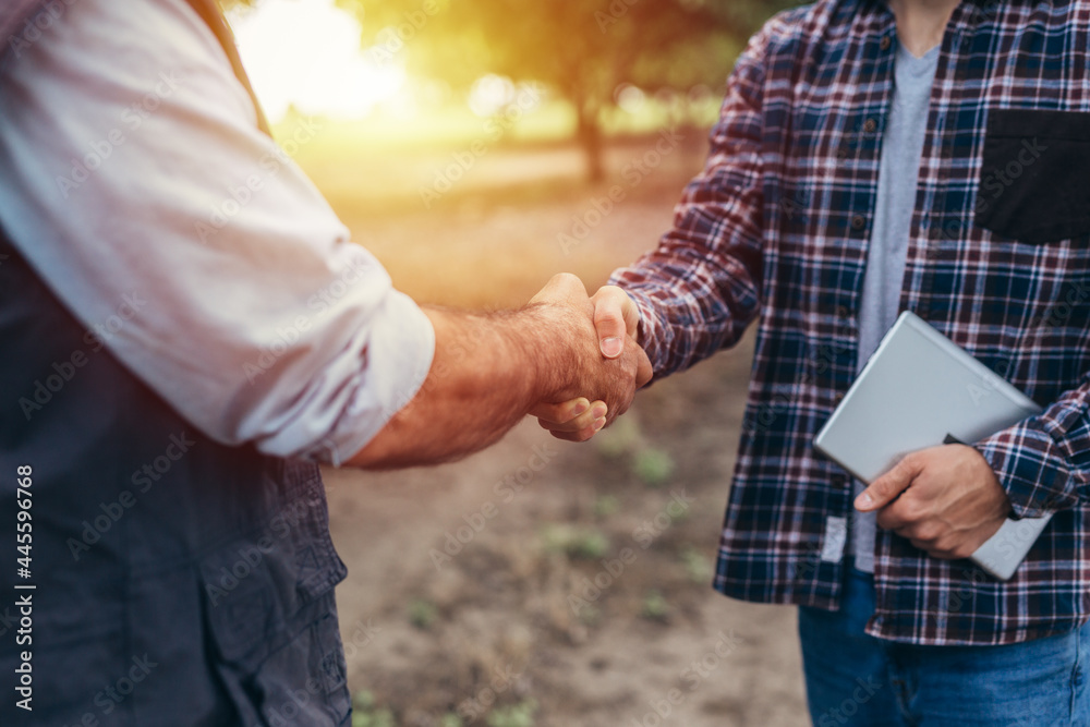 Wall mural ranchers handshake in walnut orchard