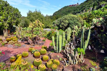 Beautiful botanical garden in Gran Canaria