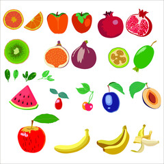 Fruit set with grapefruit, kiwi, feijoa, watermelon,dogwood, cherry, plum, apple, banana