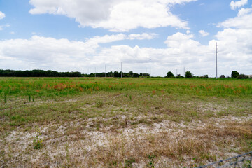 Fototapeta premium Peach Harvest in a modern peach farm in USA 