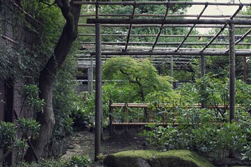 Giardino Tempio Giappone