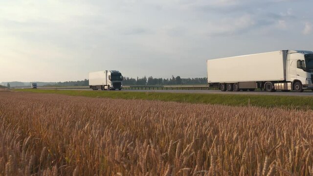 Convoy of two white trucks with cargo trailers drive along the highway past a wheat field on a sunny summer day. Concept of Logistics, Transport, Cargo Transportation, Delivery.	
