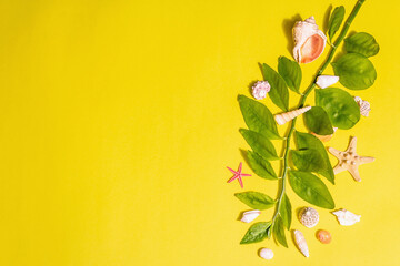 Summer vacation concept. Assorted seashells, fresh green leaves branch on a bright yellow background