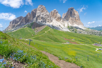 Naklejka premium Famous Sassolungo mountain summit in the Dolomites of Val Gardena, above Selva Wolkenstein