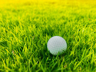 Golf ball close up on green grass on blurred beautiful landscape of golf course with sunrise,sunset time on background.Concept international sport that rely on precision skills for health relaxation.