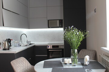 modern kitchen interior