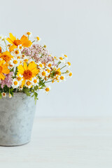 Beautiful summer flowers in a vintage pot on a white background.