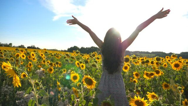 Young inspired girl with raised hands standing among field with sunflowers showing joyful emotions. Happy woman enjoying freedom with bright sunlight at background. Outdoor leisure concept. Dolly shot