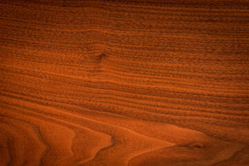 background of Walnut wood surface