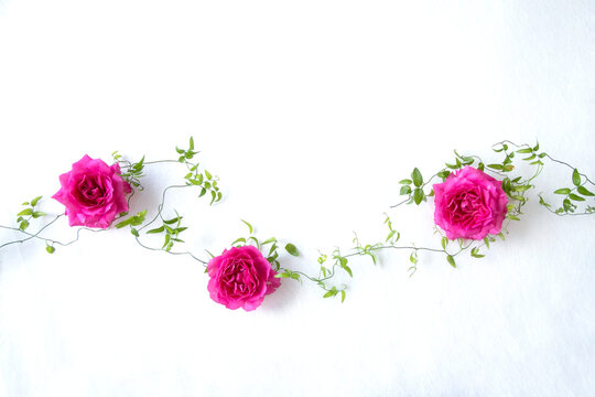 ホットピンクのバラとスマイラックスのデザイン