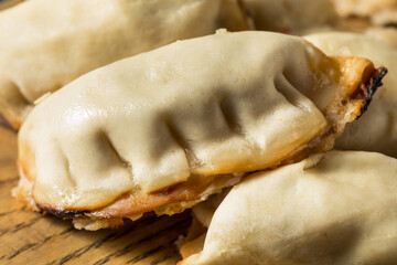 Healthy Homemade Asian Potstickers