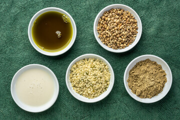 collection of hemp seed products: hearts, protein powder, milk and oil in small white bowls against textured green paper, superfood concept