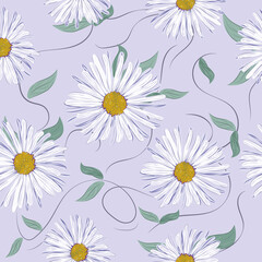 Fototapeta na wymiar Vector floral background. Background from Aster flowers. Vector illustration
