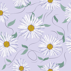 Vector floral background. Background from Aster flowers. Vector illustration