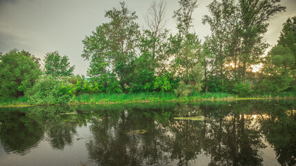 Fototapeta na wymiar summer sunset landscape on the swamp