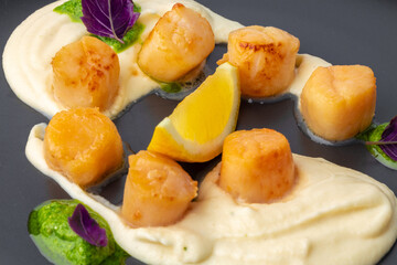 Scallops in creamy sauce on black plate