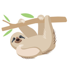 A cute cheerful sloth hangs on a branch and smiles. Holds with paws. Vector graphics © Евгений Казанцев