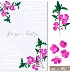 Set of abstract flowers on a white background.