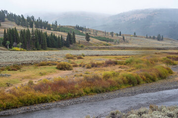 Landscape in the lands of Yellowstone. - 445616176