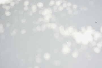 abstract bokeh background