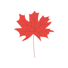 Autumn leaves. Icon. For decoration of postcards, prints, design. Vector.