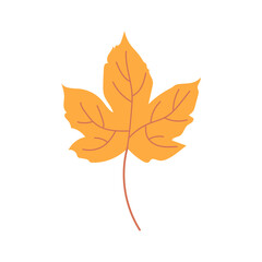 Autumn leaves. Icon. For decoration of postcards, prints, design. Vector.