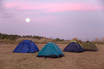 Camping, Tent, Summer, Shade, Lake