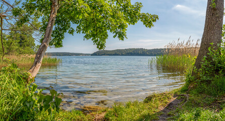 Naturparadies Werbellinsee Taucheinstieg 