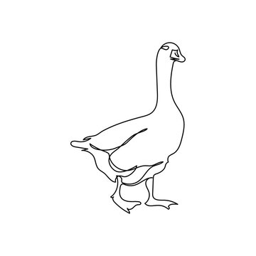recommend clip art: Goose one line art. Continuous line drawing of poultry, domestic animal.