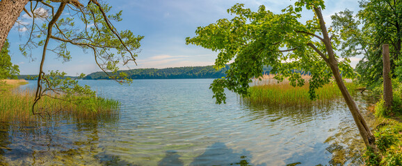 Naturparadies Werbellinsee Taucheinstieg "Dornbusch"