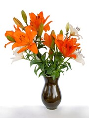 pretty flowers of orange lilies close up