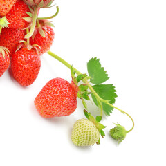 Ripe juicy strawberries isolated on a white .