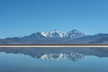 Snow covered Nevado (volcano) Tres Cruces reflecting in a high-altitude lake Laguna Santa Rosa in Parque Nacional Nevado de Tres Cruces, Chile, Atacama desert