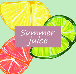 Fototapeta na wymiar Summer illustration for cards, print, design, pattern, frame, poster. Vector hand drawing. Citrus illustration of lime, orange, lemon, grapefruit.