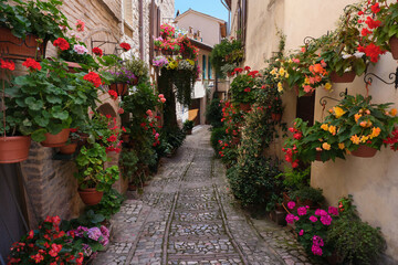 Fototapeta na wymiar flowery alley in the medieval town of spello umbria