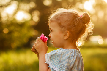 Little Blonde curly girl wearing a blue summer dress sniffs at a pink flower in her hand in the park or on the meadow outdoors, her hair is golden in the setting sun, blurred background