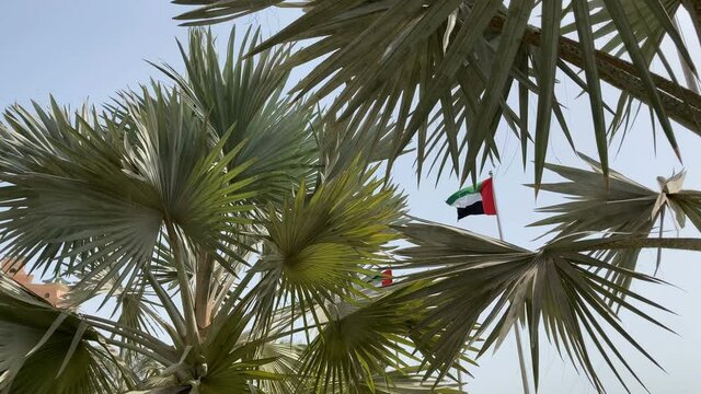 The wind sways the branches of lush palm tree the flag of the UAE on hot sunny summer day. Skyscrapers in the background