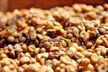 Luwak  or Monggos coffee beans in brown color