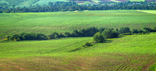 Beautiful panorama of agricultural fields and hills on a summer day in Ukraine